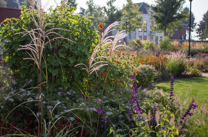 Voorbeeld Vlindertuin